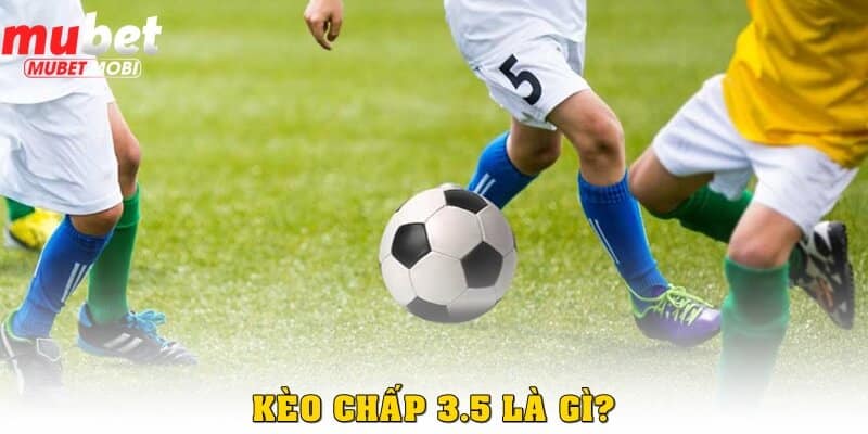 Kèo chấp 3.5 là gì?
