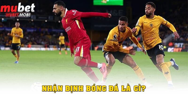 Nhận định bóng đá là gì?