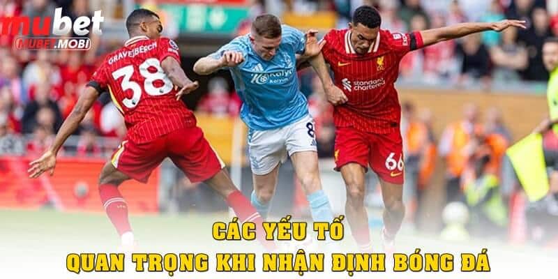 Các yếu tố quan trọng cần biết khi nhận định bóng đá