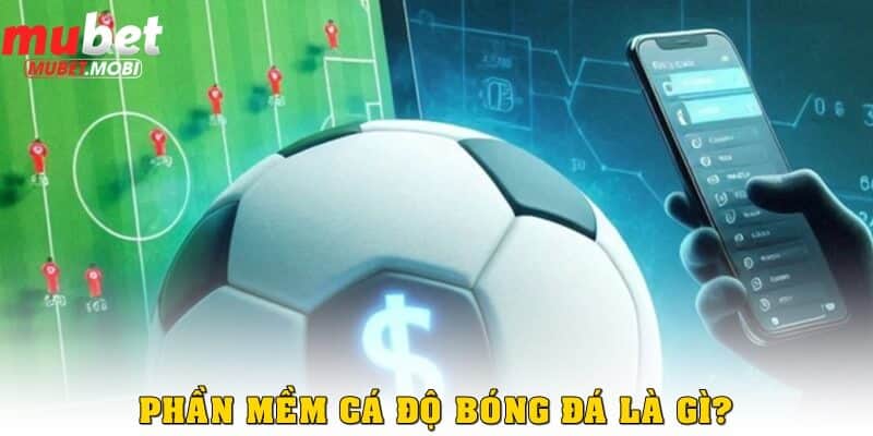 Phần mềm cá độ bóng đá là gì