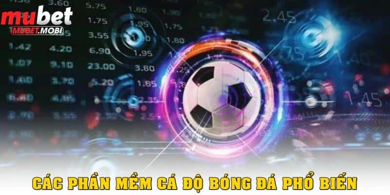 Các phần mềm cá độ bóng đá hỗ trợ đắc lực cho người chơi