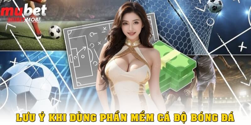 Lưu ý khi sử dụng các phần mềm cá độ bóng đá