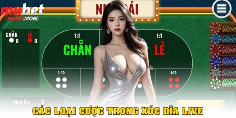 Các loại cược hay xuất hiện trong Xóc Đĩa Live